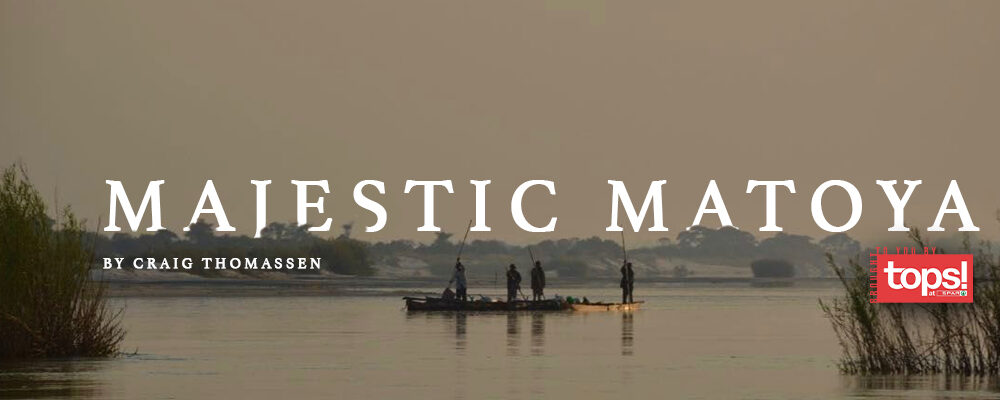 Majestic Matoya