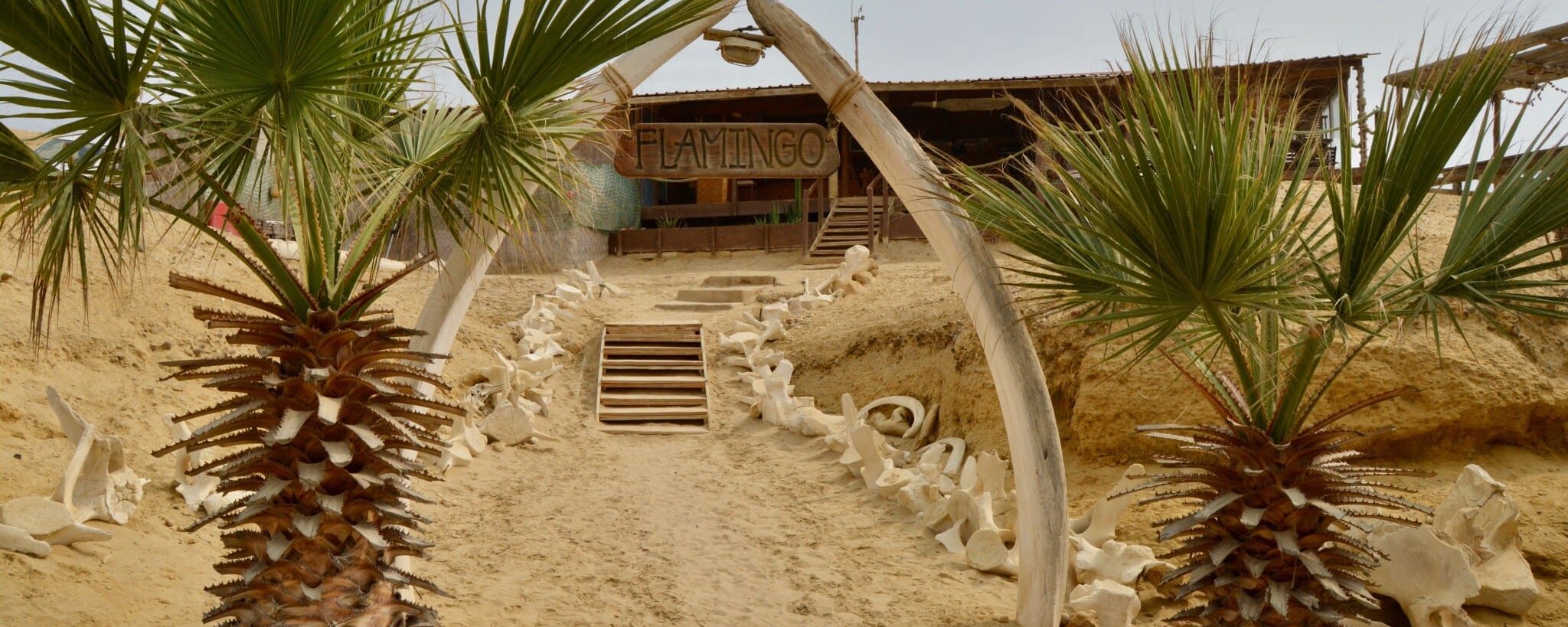 Flamingo Lodge 2018 Trip