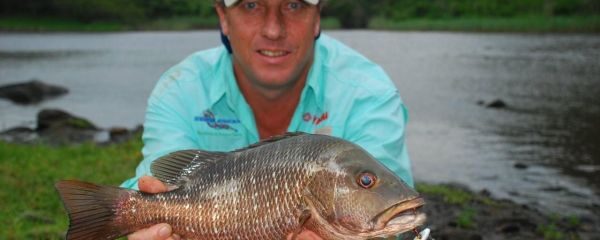 River Snapper, The Ultimate Light Tackle Estuary Challenge