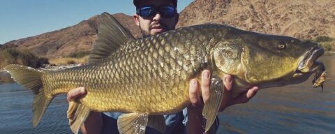 The Problem with Largemouth…