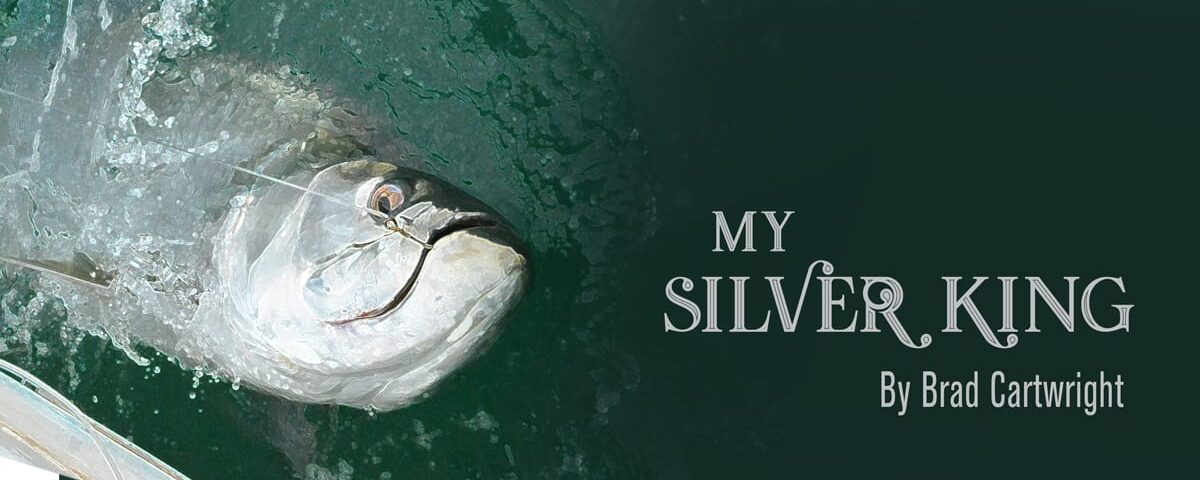 My Silver King