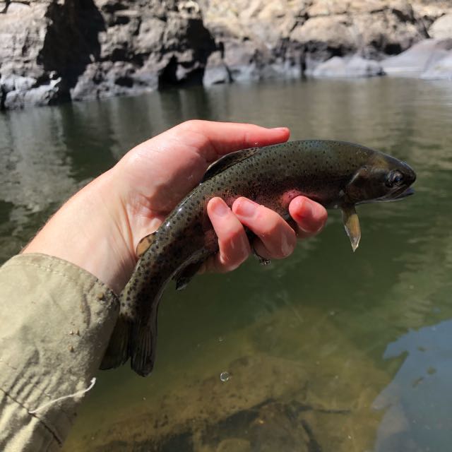 1572934537905.477 First wild rainbow 🌈