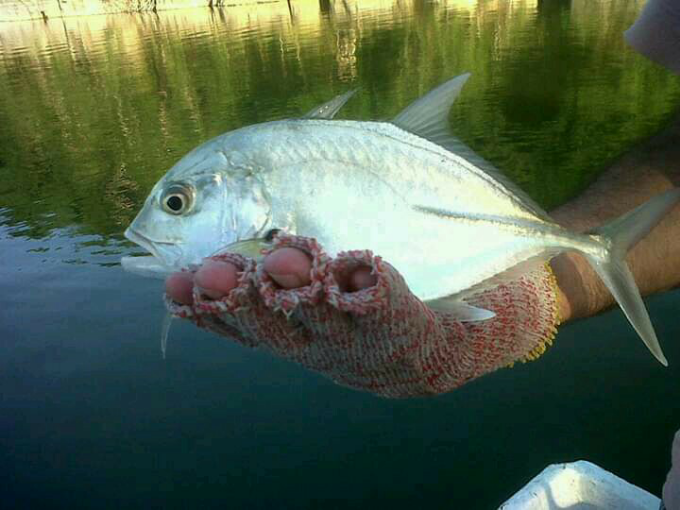 1578500813745 Uploaded via Fishbook