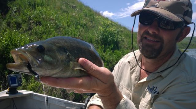 1588080546488.9067 Great sport on light tackle