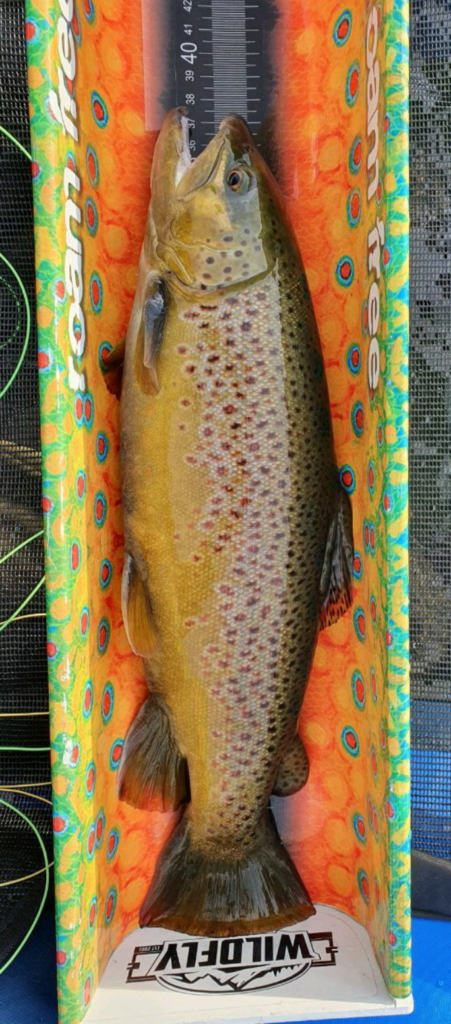Uploaded via Fishbook
