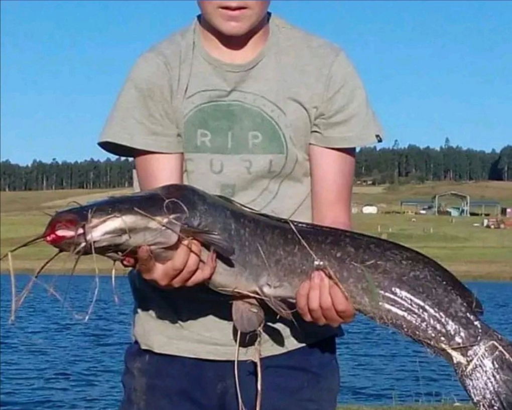 1598543434235 Uploaded via Fishbook