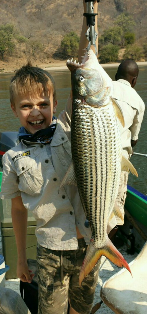 Red cliffs fishing lodge lower zambezi