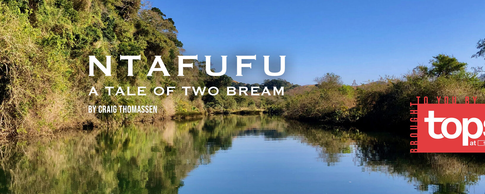 Ntafufu, a tale of two bream
