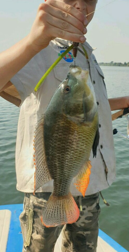 Uploaded via Fishbook