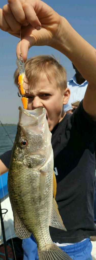 Uploaded via Fishbook
