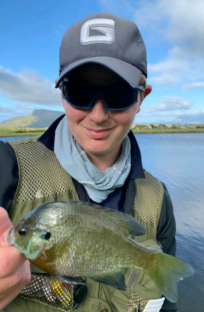 Bluegill