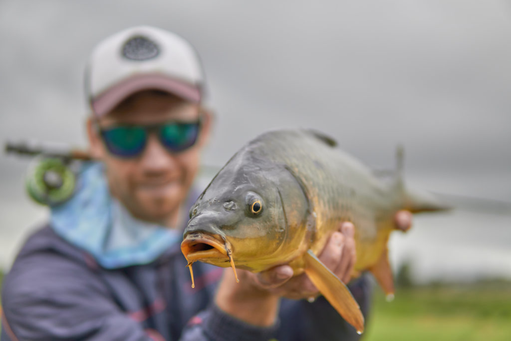 SNC04951 Grassy flats of Ixopo #carponfly Photos by @james_on_fly SNC05031SNC05070SNC04951