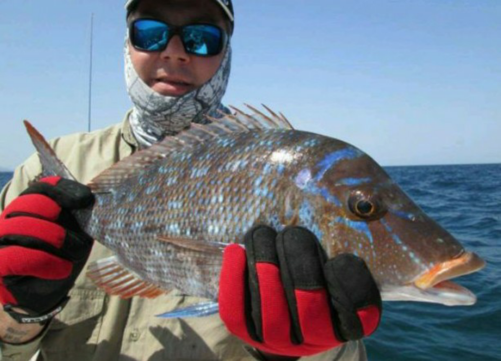 Uploaded via Fishbook
