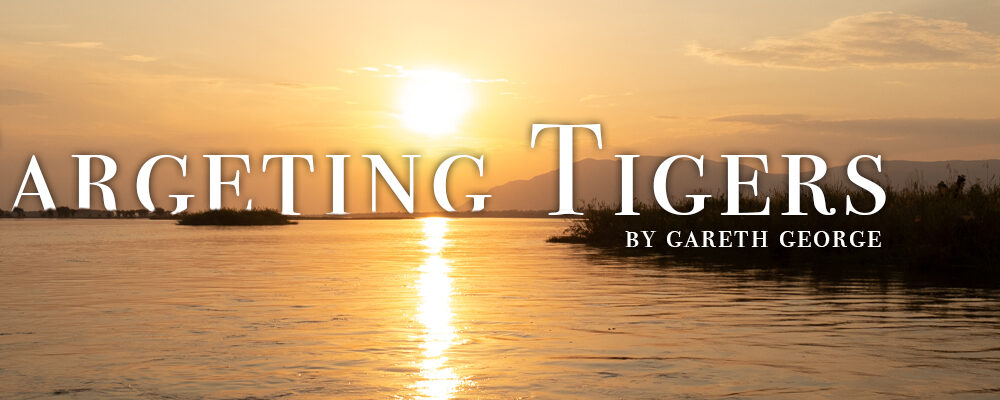 Targeting Tigers