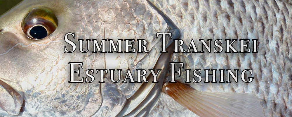 Summer Transkei Estuary Fishing