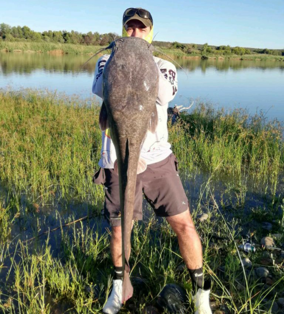 A strong-fighting Orange River cat that engulfed a Big Cat Popper and pumpkinseed lure as it hit the