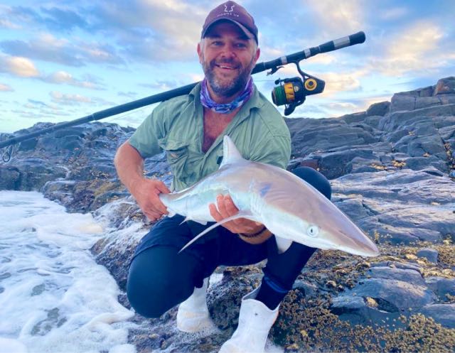 1615578185703.5798 Got this feisty little grey shark recently. Released safely