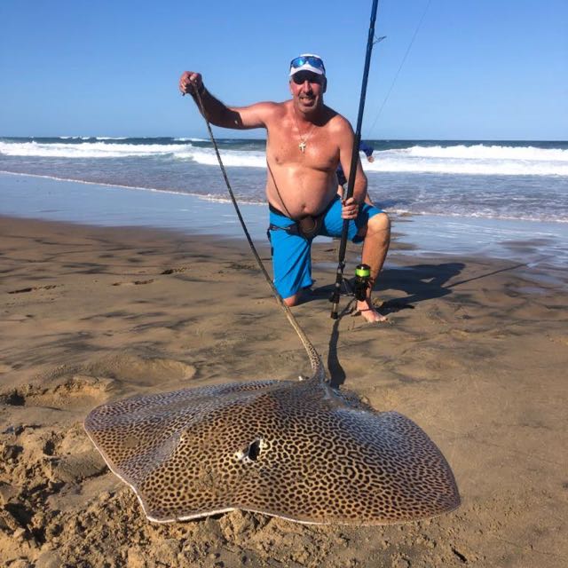 1615804315140.857 Honeycomb ray