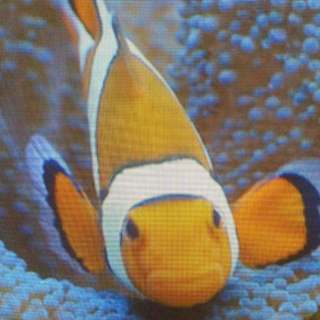 1616676137382 Great catch