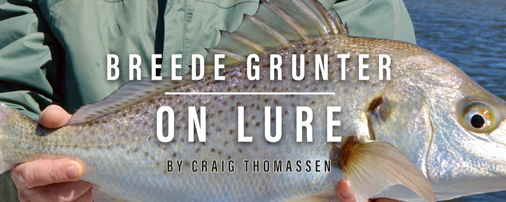 Breede Grunter on Lure