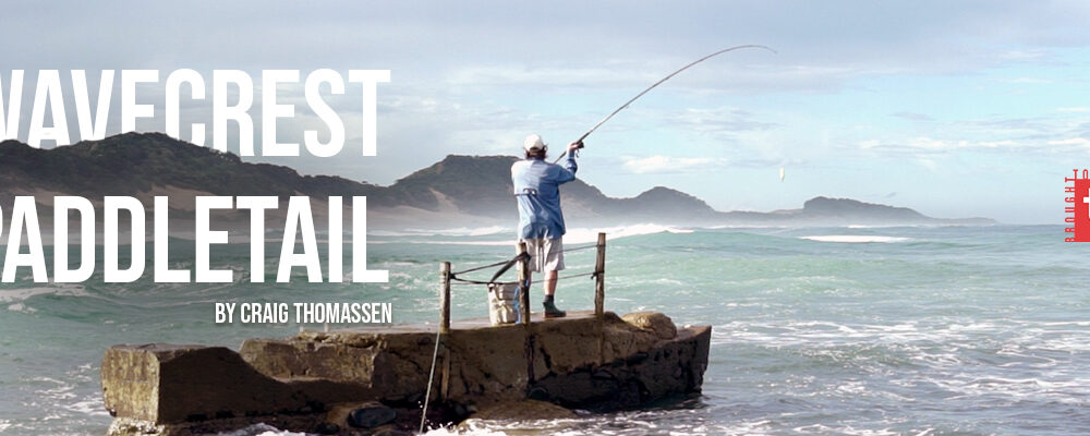 Transkei Paddletail in the surf