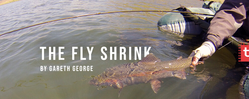 The Fly Shrink