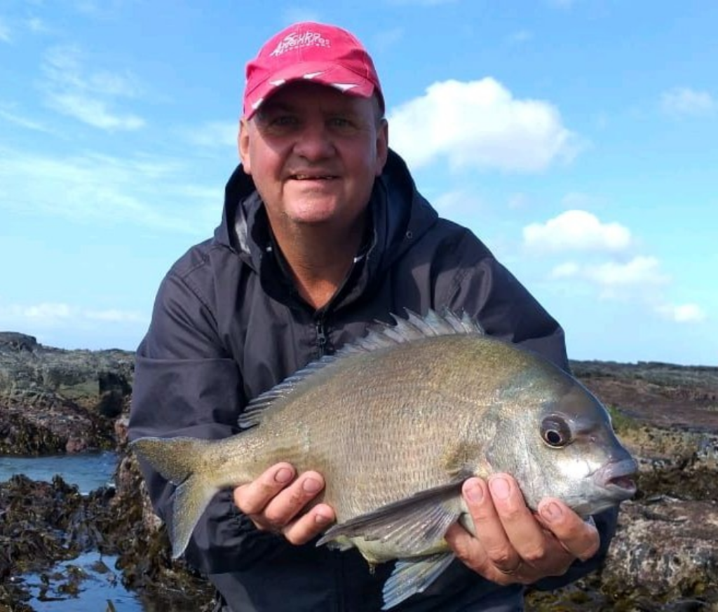 Bronze Bream