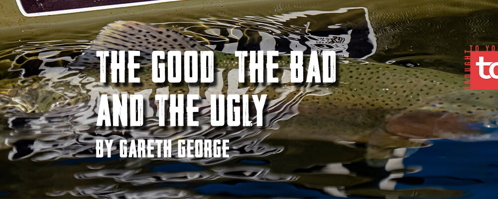 The Good, the Bad and the Ugly