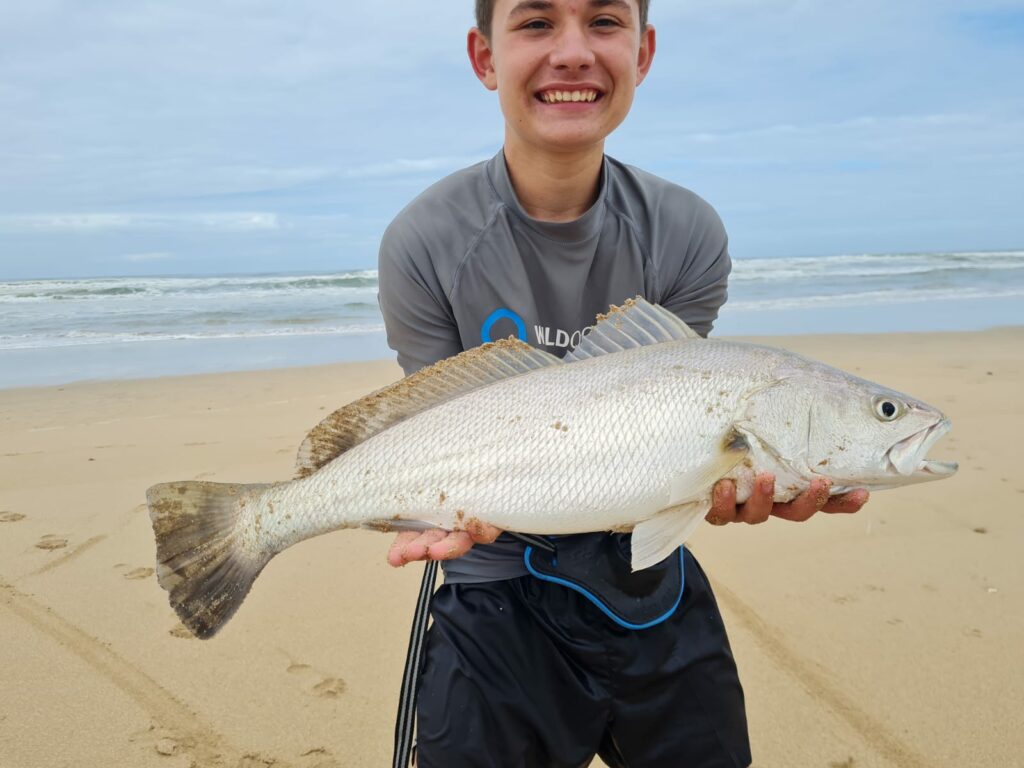 Bait/Kob at Sundays river Safely released IMG-20220418-WA0007