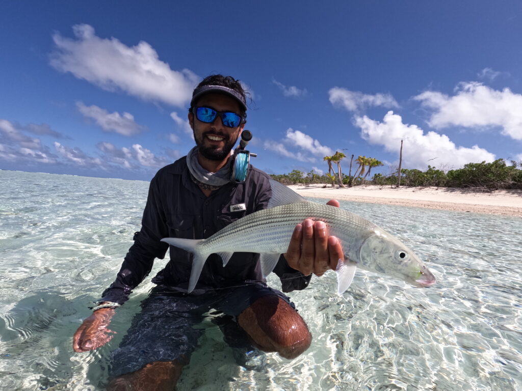image_picker_53461B0F-7C5E-416D-BAFF-21F5698825D1-4116-000003A2329AAE86 Alphonse Island