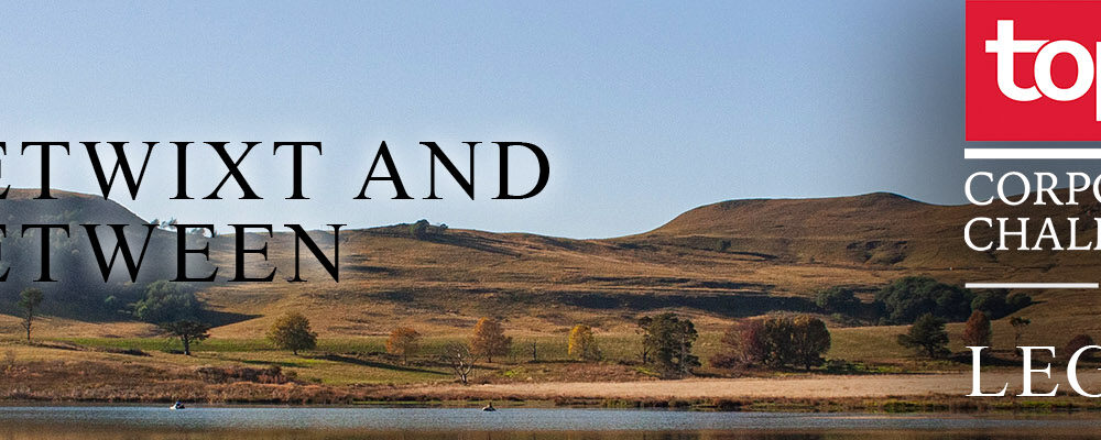 Trout Report – Betwixt and Between