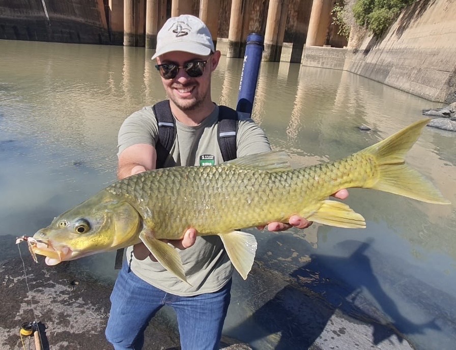 image_picker_CAFF9AE7-EFA9-441F-B2B8-380FB42B221F-20687-000012D002AC2AFD Smallmouth Yellowfish