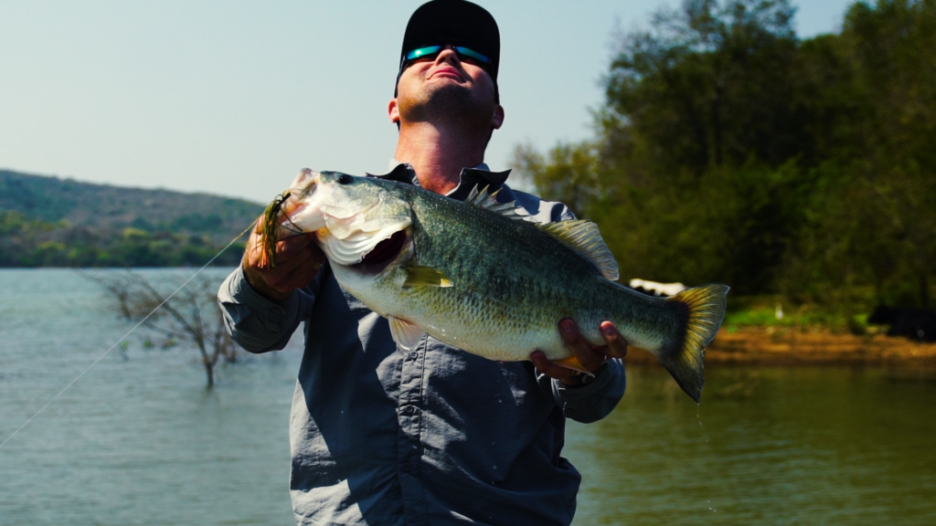 Alistair Moores Pitt Bass 3 Alistair Moores Pitt Bass 3