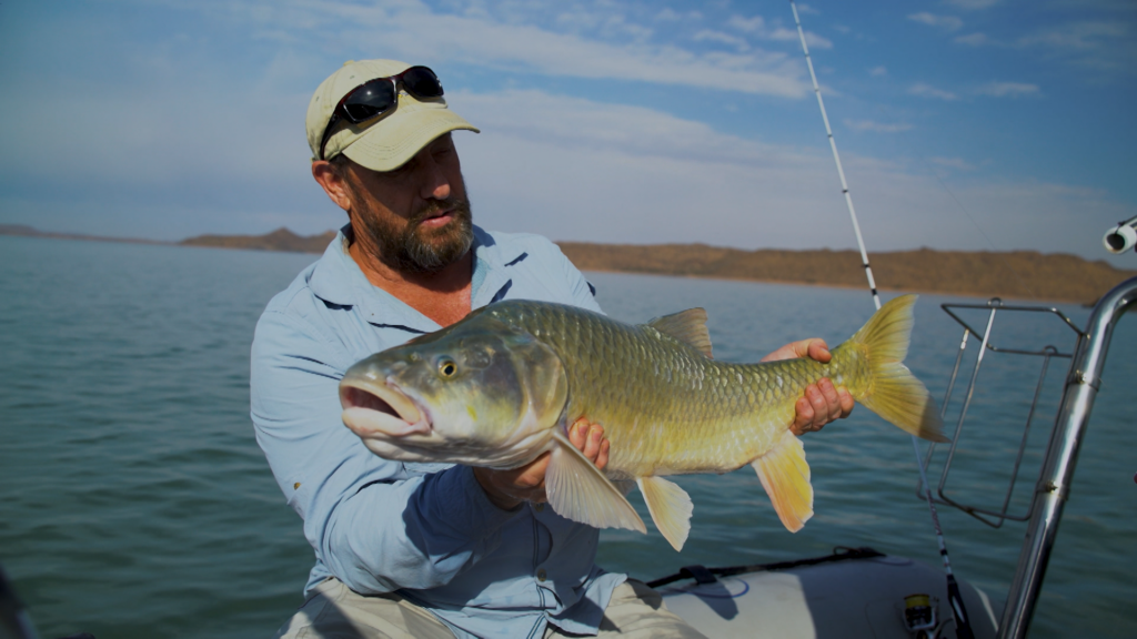 HOAS9_2023EP10_Karoo Gold.01 HOAS9_2023EP10_Karoo Gold.01