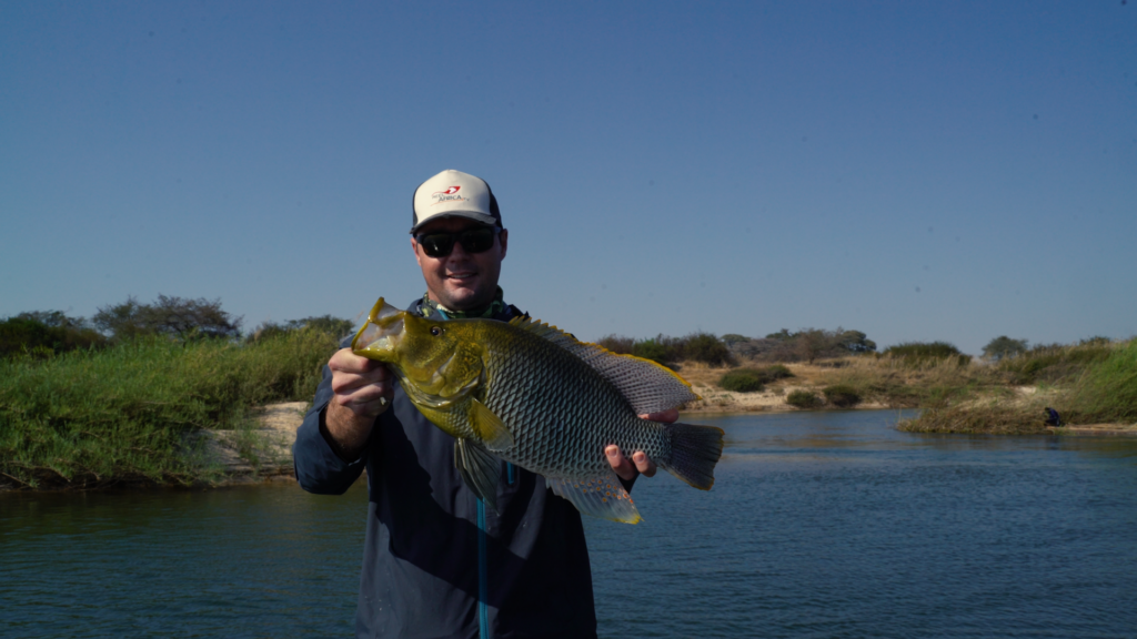 Ali Humpback Bream