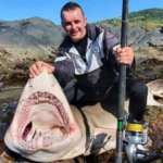 Profile picture of Ian Liebenberg