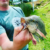 Profile picture of Jacques van der Merwe
